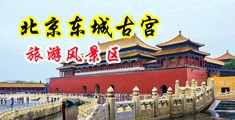 抽插淫穴好舒服好美啊视频中国北京-东城古宫旅游风景区